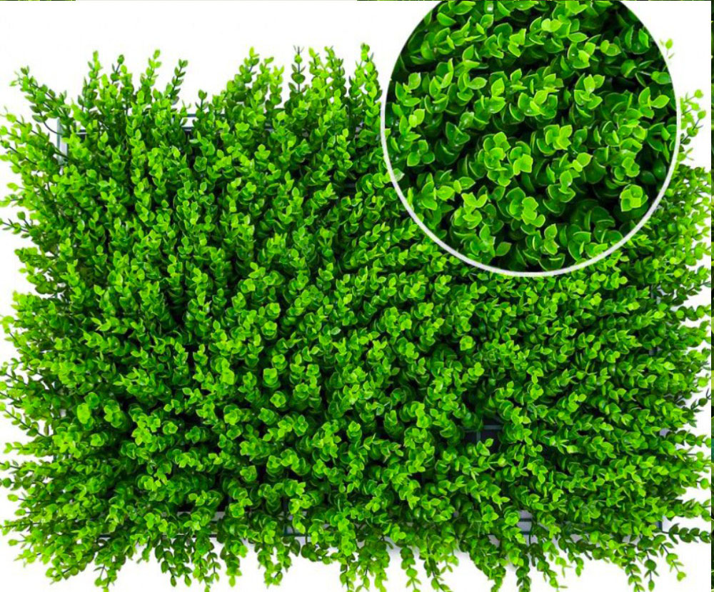 tham-tham-cai-xoong-e02