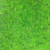 thảm cỏ 2cm