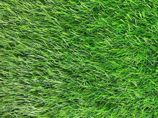 thảm cỏ 4cm